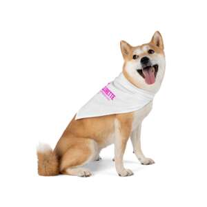 512Bachelorette Austin Bachelorette Dog Bandana — Bride Squad Pet Bachelorette Accessory